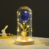 Valentines Day Gift Eternal Rose Flowers LED Light In Glass Cover