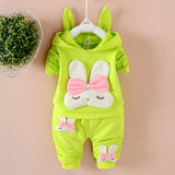Toddler Girls 2 Piece Long Sleeve Hoodie Sweatshirt