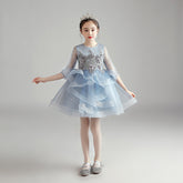 Princess Dress Girl
