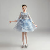 Princess Dress Girl