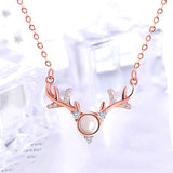 A hundred languages on Valentine's Day