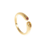 Stainless Steel December Birthstone Ring