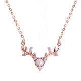 A hundred languages on Valentine's Day