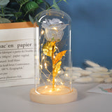 Valentines Day Gift Eternal Rose Flowers LED Light In Glass Cover