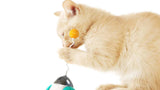 Interactive Squeaky Balance Toy – Fun for Dogs & Cats