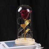 Valentines Day Gift Eternal Rose Flowers LED Light In Glass Cover