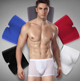 Ice Silk Seamless Men Boxers Luxury Boxers Underwear Sp