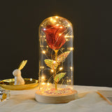 Valentines Day Gift Eternal Rose Flowers LED Light In Glass Cover