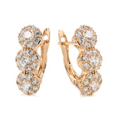 Exquisite Copper Plated Gold Hundred Zircon Earrings