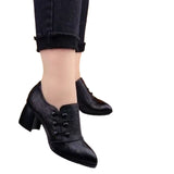 Spring And Autumn Single-layer Shoes Women's Shallow Mouth Pointed Toe Thick Heel Leather Shoes