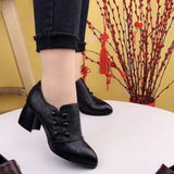 Spring And Autumn Single-layer Shoes Women's Shallow Mouth Pointed Toe Thick Heel Leather Shoes