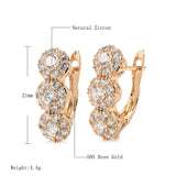 Exquisite Copper Plated Gold Hundred Zircon Earrings