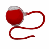Vibrating Bouncing Ball – Interactive Toy for Cats & Dogs