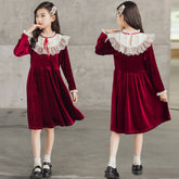 Girls' Dress Velvet Princess