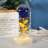 Valentines Day Gift  Eternal Rose Flowers LED Light In Glass Cover