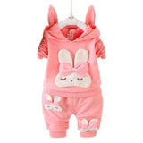 Toddler Girls  2 Piece Long Sleeve Hoodie Sweatshirt