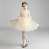 Princess Dress Girl