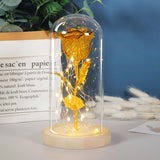 Valentines Day Gift  Eternal Rose Flowers LED Light In Glass Cover
