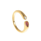 Stainless Steel December Birthstone Ring