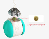Interactive Squeaky Balance Toy – Fun for Dogs & Cats