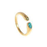 Stainless Steel December Birthstone Ring