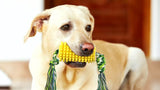 Indestructible Chew Toy for Aggressive Chewers Dog – Corn-Shaped