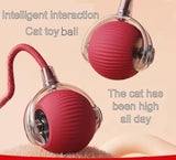 Vibrating Bouncing Ball – Interactive Toy for Cats & Dogs