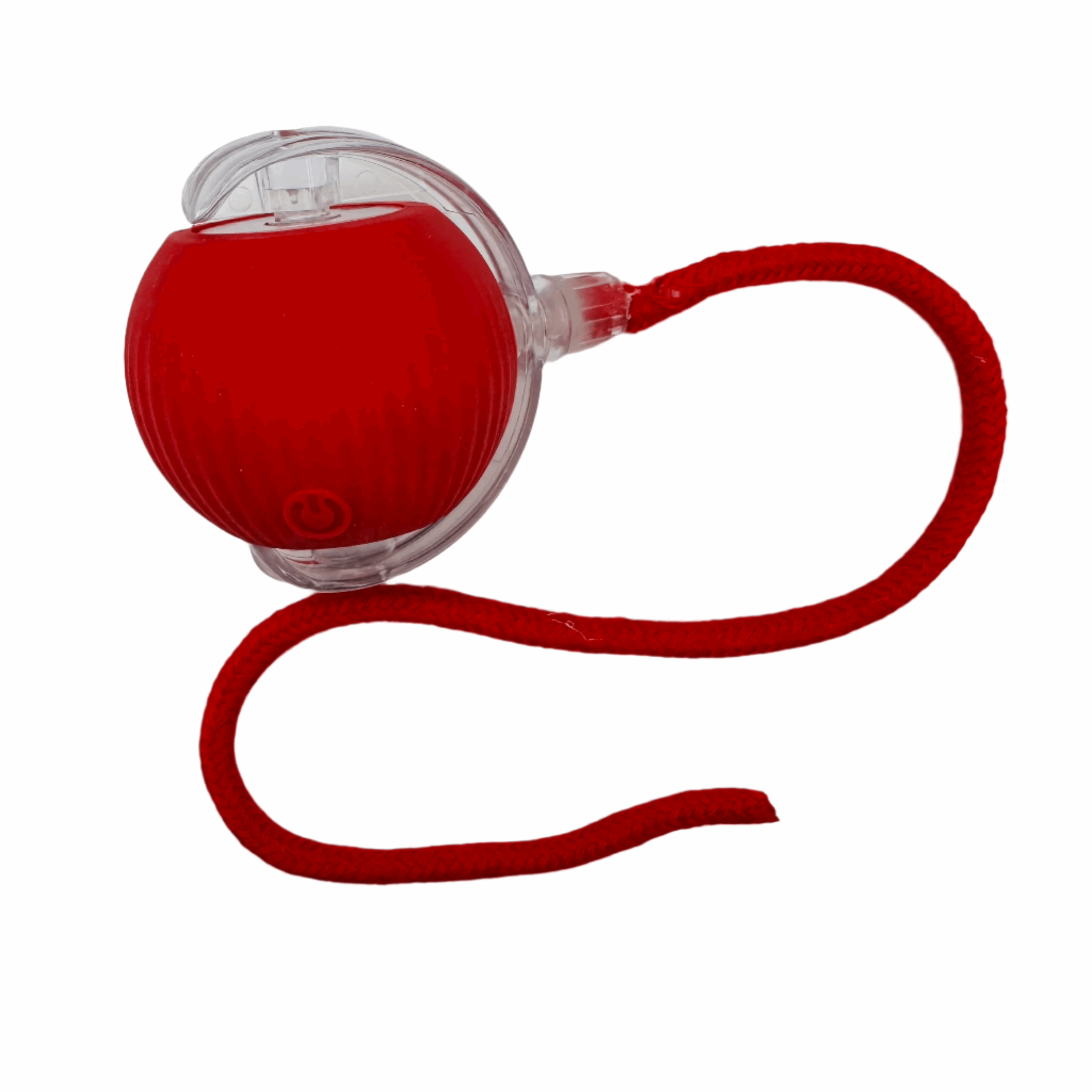 Vibrating Bouncing Ball – Interactive Toy for Cats & Dogs