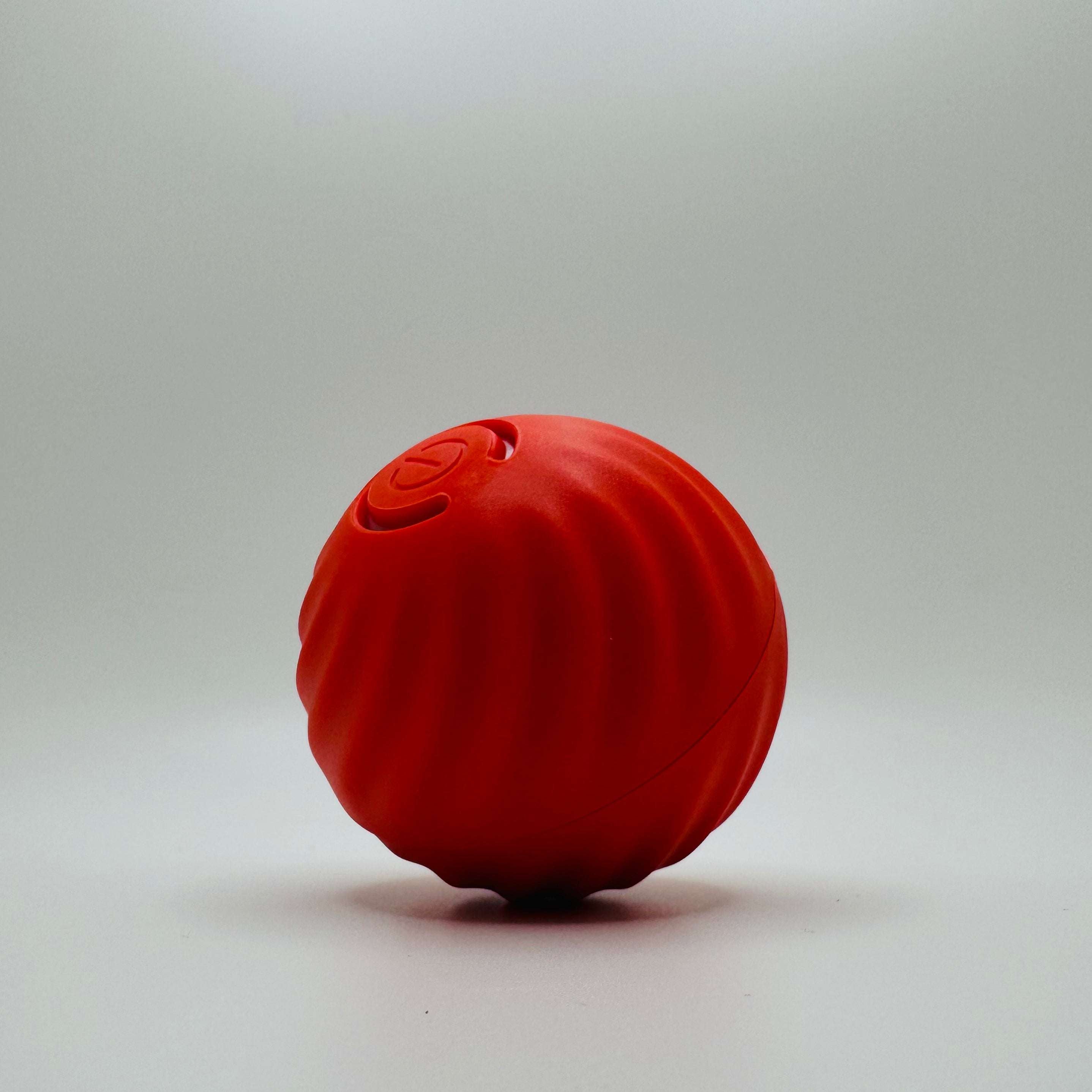 Vibrating Dog Ball Toy for Dogs & Cats – Interactive Bouncing