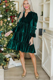 Long Sleeve Skirt Velvet Cake Dresses