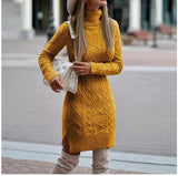 Turtleneck Knitted Dress