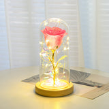 Valentines Day Gift  Eternal Rose Flowers LED Light In Glass Cover