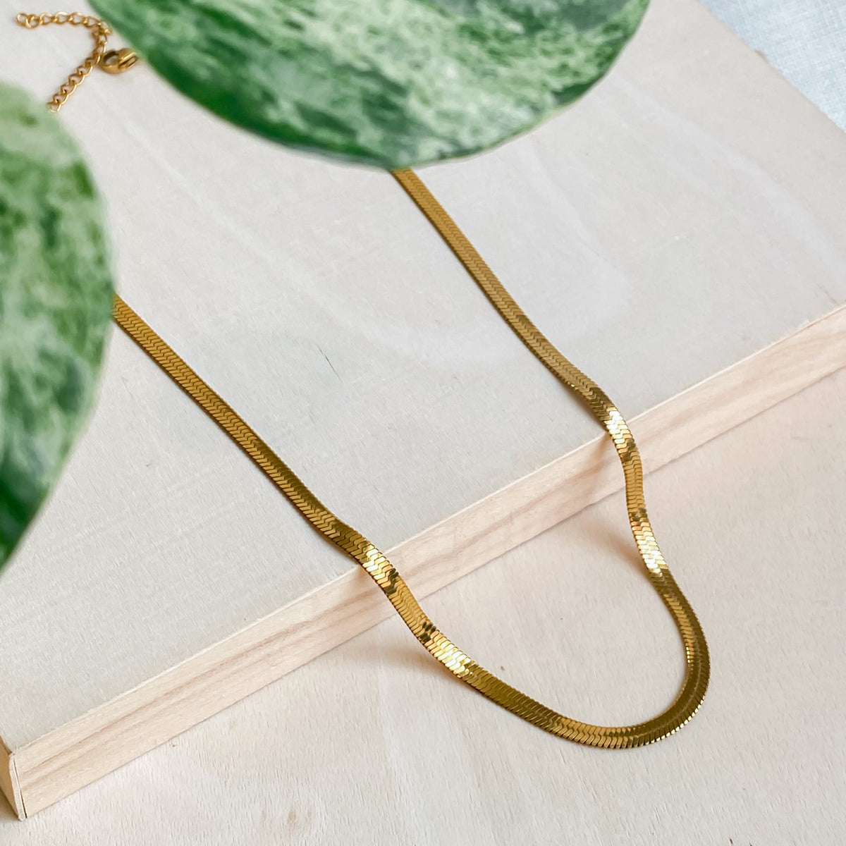 18K Gold Stainless Steel Choker Necklace | CLEOPATRA