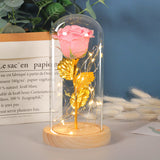 Valentines Day Gift  Eternal Rose Flowers LED Light In Glass Cover