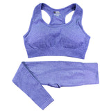 2PCS Seamless Yoga Set Women